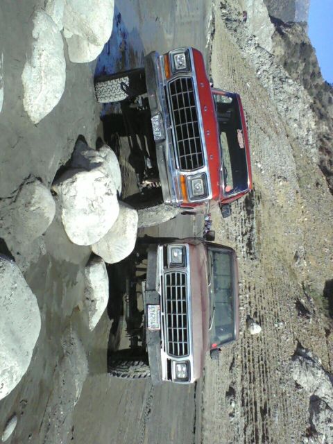 1976 Ford F-250 photo