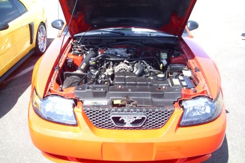 2002 Ford Mustang photo