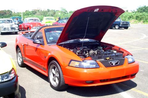 2002 Ford Mustang photo
