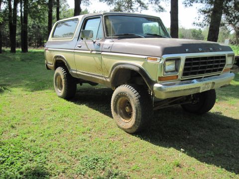 1979 Ford Bronco photo