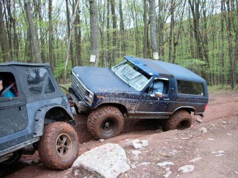 1986 Ford Bronco photo