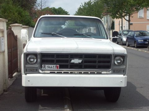 1979 Chevrolet C/K Pickup photo