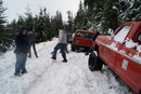 1983 Ford Bronco photo