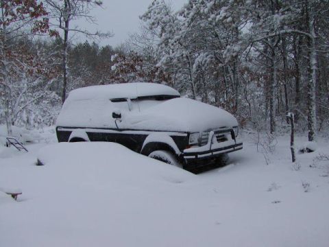 1979 Ford Bronco photo