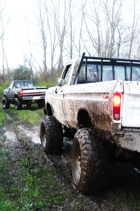 1989 Ford F-150 photo