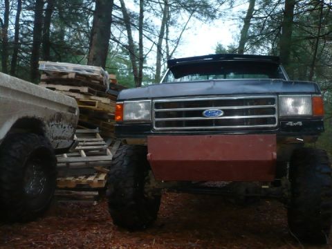 1989 Ford F-150 photo