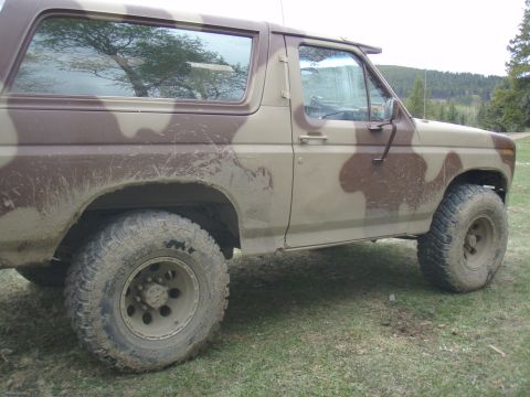 1985 Ford Bronco “Bullford”