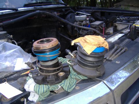 1995 Ford F-150 photo