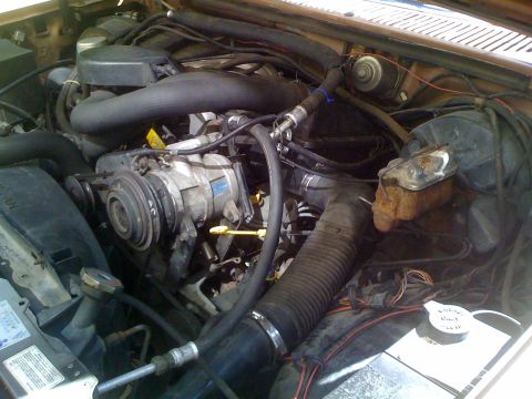 1986 Ford Bronco photo