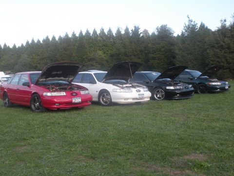 1992 Ford Taurus photo