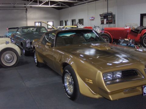 1978 Pontiac Firebird photo