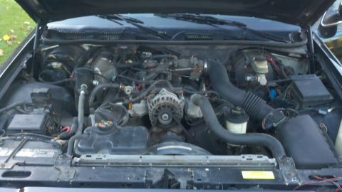 1999 Ford Crown Victoria photo