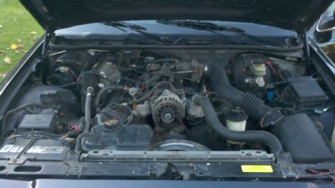 1999 Ford Crown Victoria photo