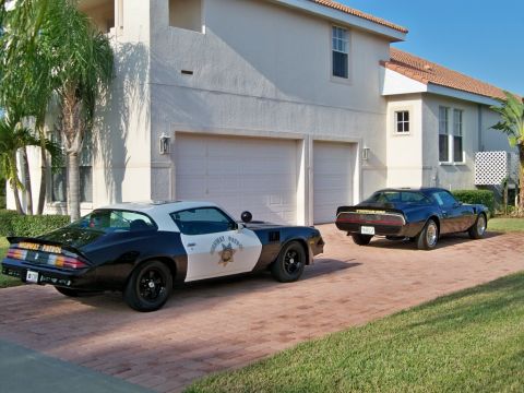 1977 Pontiac Firebird photo