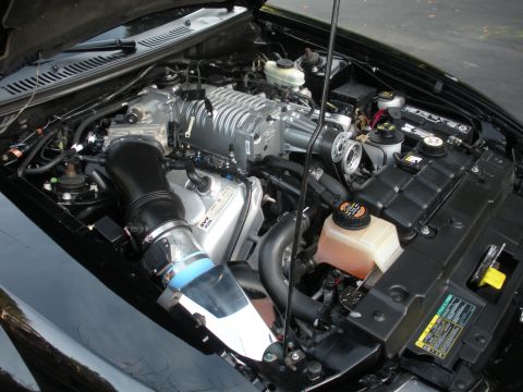 2003 Ford Mustang photo