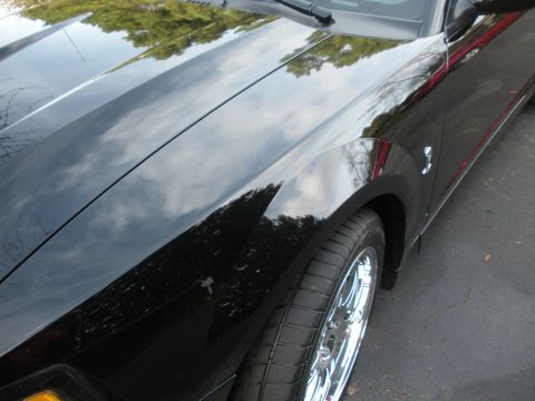 2003 Ford Mustang photo