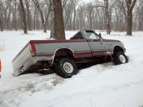 1988 Ford F-150 photo