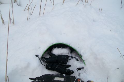 1990 Arctic Cat El Tigre EXT photo
