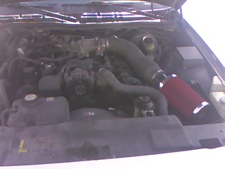 2004 Ford Crown Victoria photo