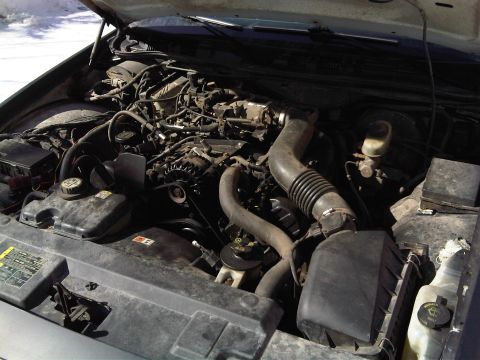 2003 Ford Crown Victoria photo