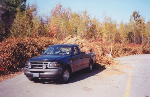 1998 Ford F-150 photo