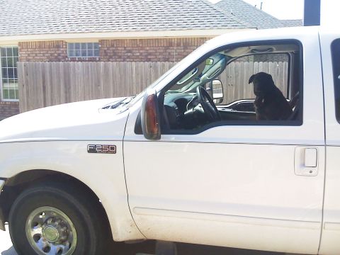 2003 Ford F-250 photo