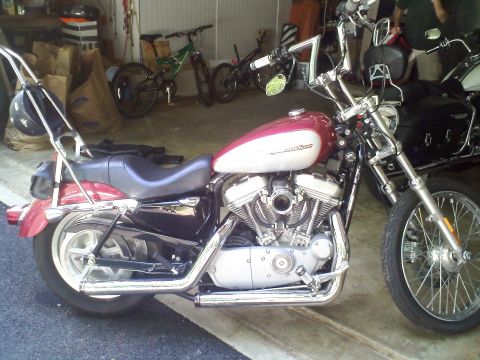 2004 Harley-Davidson Sportster Custom photo