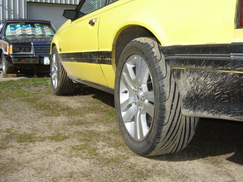 1979 Ford Mustang photo