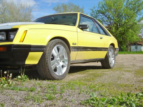 1979 Ford Mustang photo