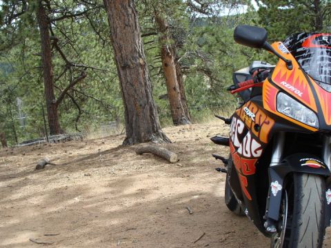 2006 Honda CBR-RR photo