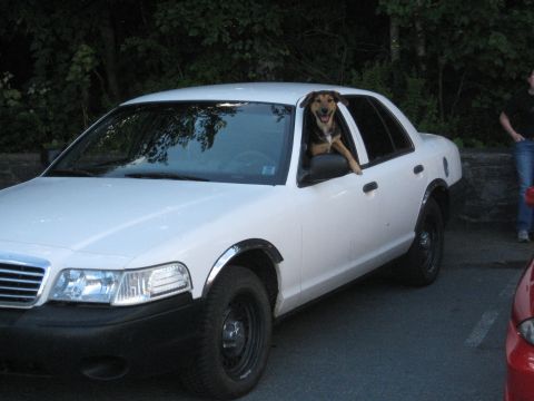 2001 Ford Crown Victoria photo