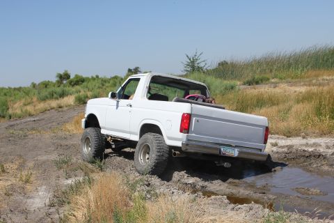 1986 Ford Bronco photo