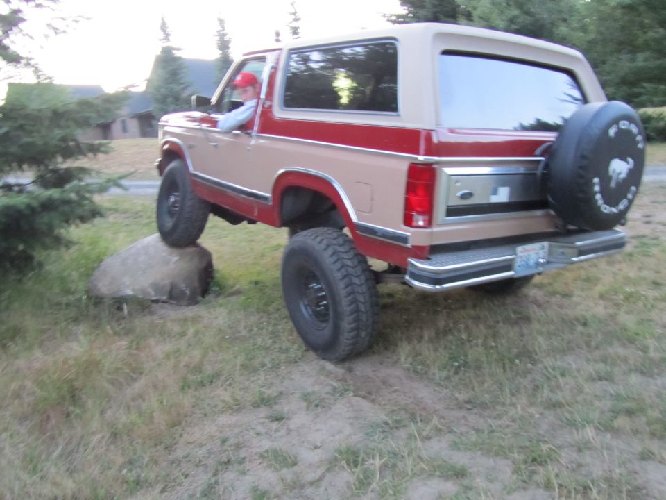 1984 Ford Bronco “dusty”