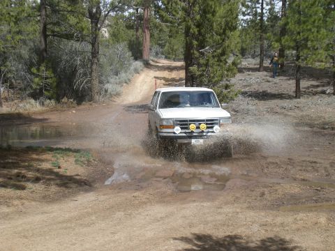 1995 Ford Bronco photo