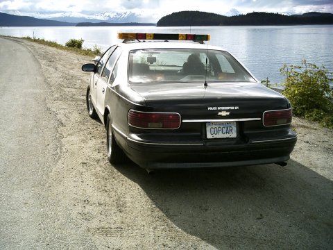 1995 Chevrolet Caprice photo