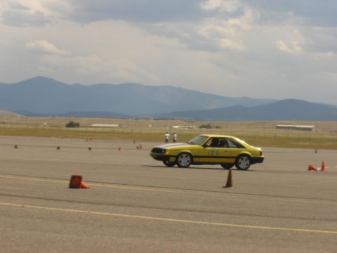 1979 Ford Mustang photo