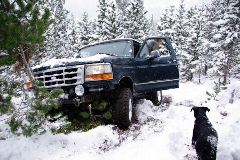 1996 Ford Bronco photo