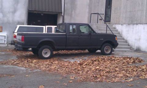 1991 Ford F-150 photo