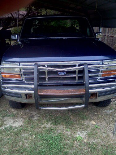 1995 Ford F-150 photo