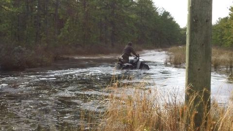 1994 Yamaha TIMBERWOLF photo