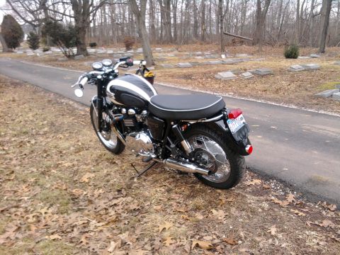 2009 Triumph Bonneville photo