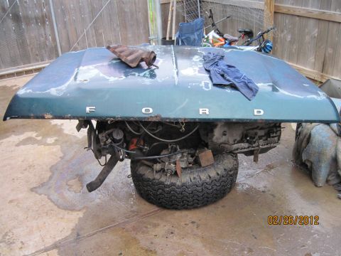 1979 Ford Bronco photo