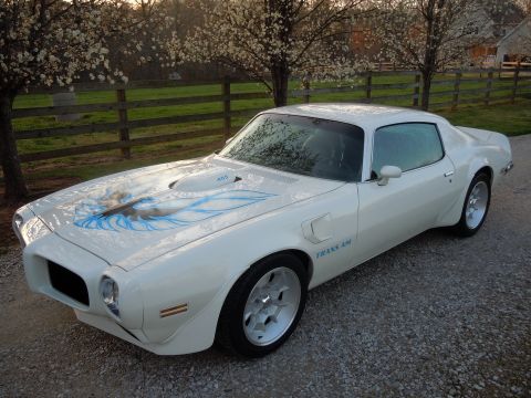 1973 Pontiac Firebird photo