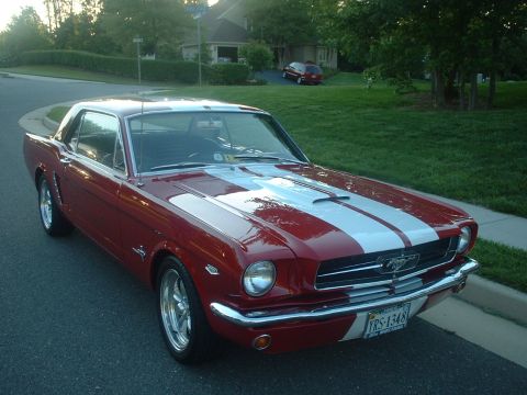 1965 Ford Mustang photo
