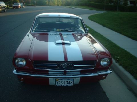 1965 Ford Mustang photo