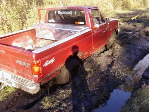 1993 Ford F-150 photo