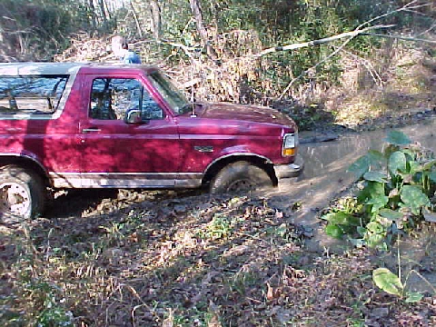 1990 Ford Bronco photo
