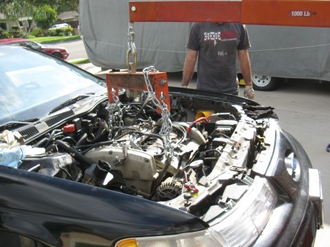 1992 Ford Taurus photo