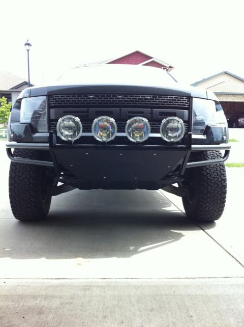2010 Ford F-150 photo