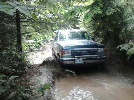 1989 Ford Bronco photo